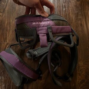Mammut climbing harness